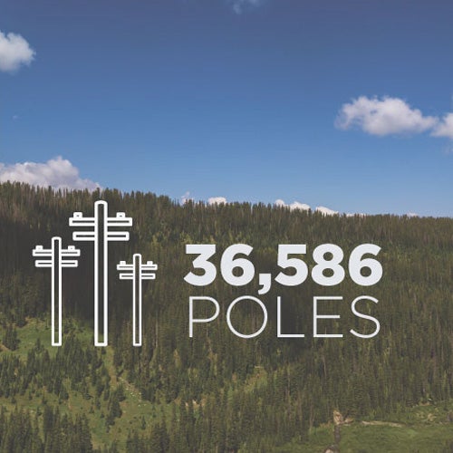 36,586 Poles