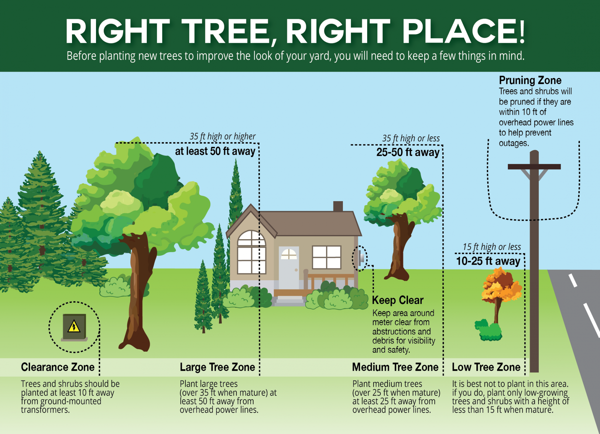 Tree Trimming