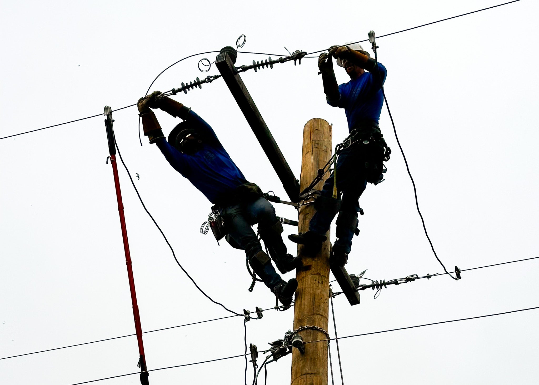 Lineworkers participating in the Linemans Rodeo