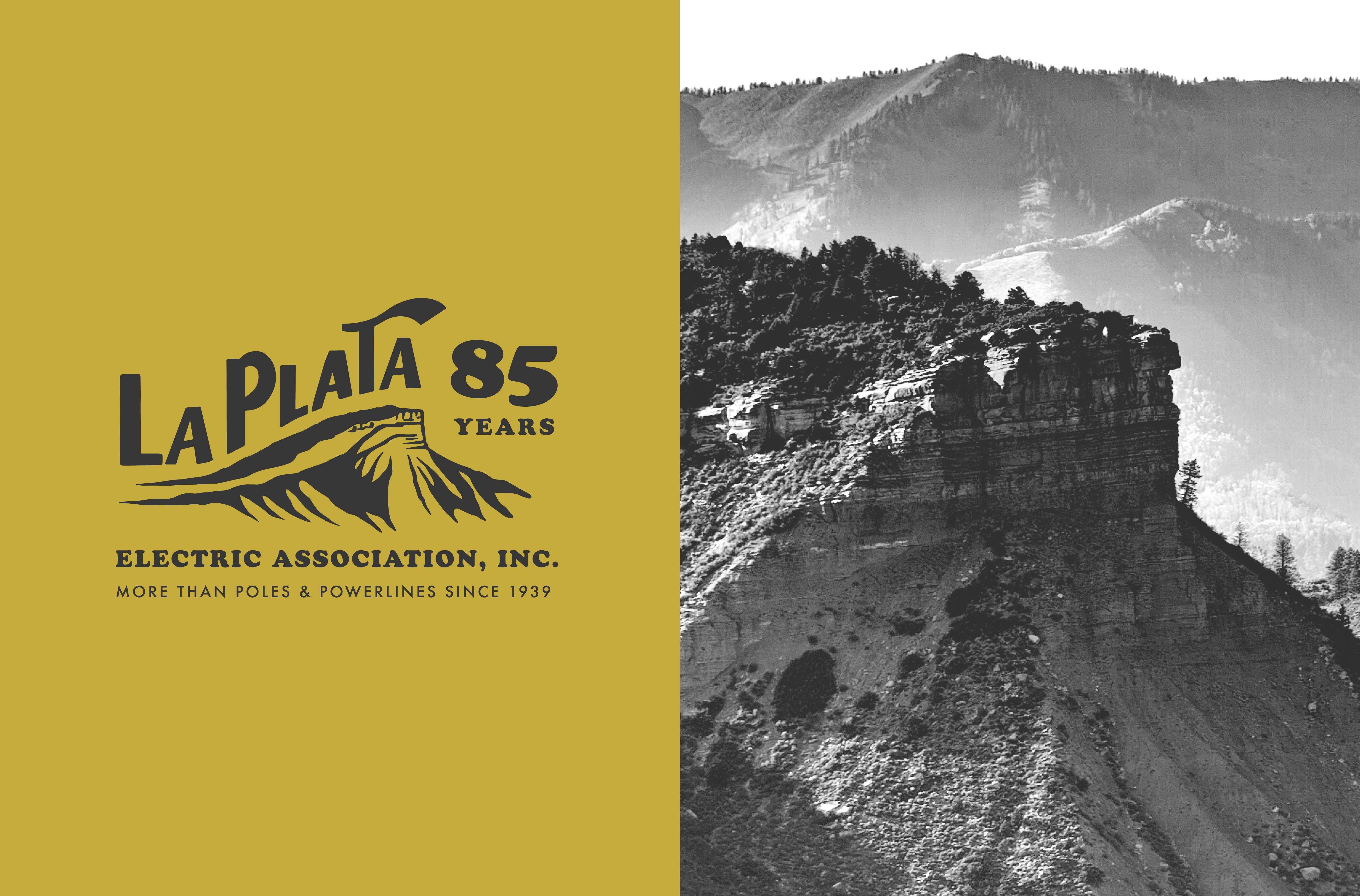 LPEA's 85th logo