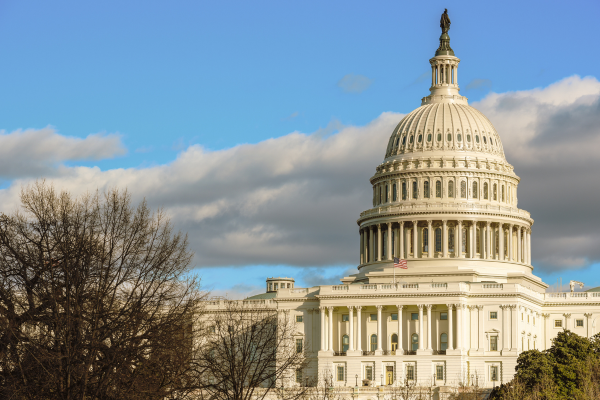 Capital Building in Washington, D.C. 