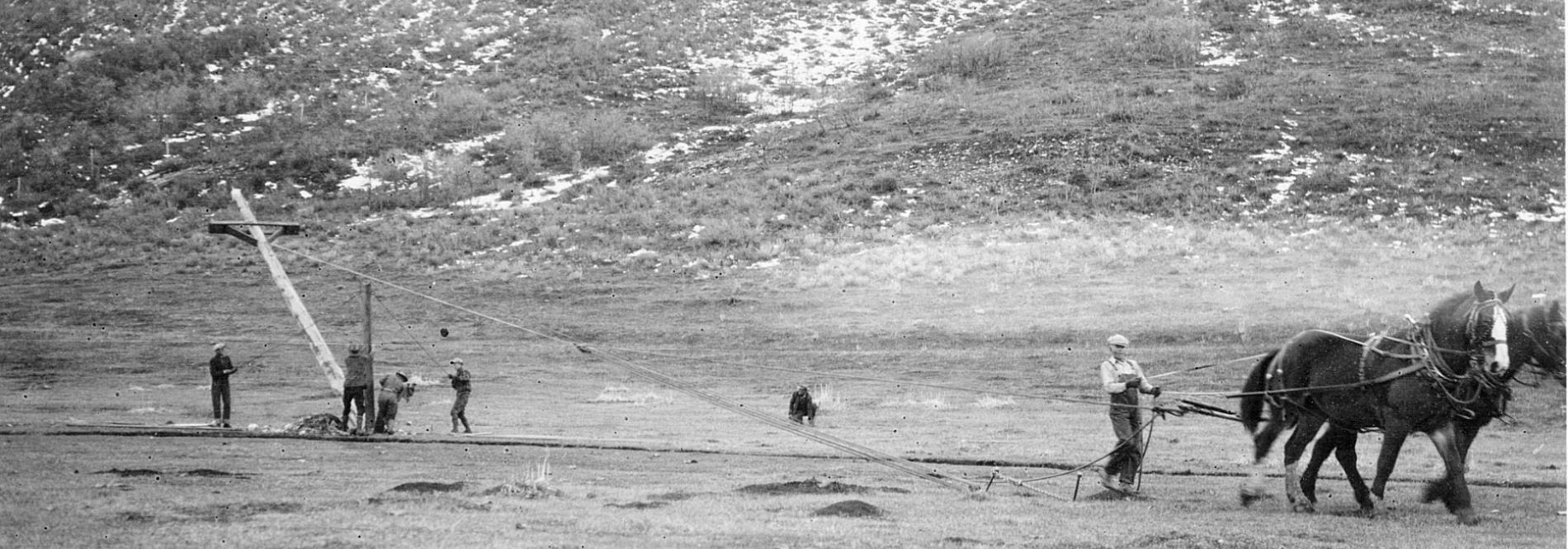 raising power pole with horse
