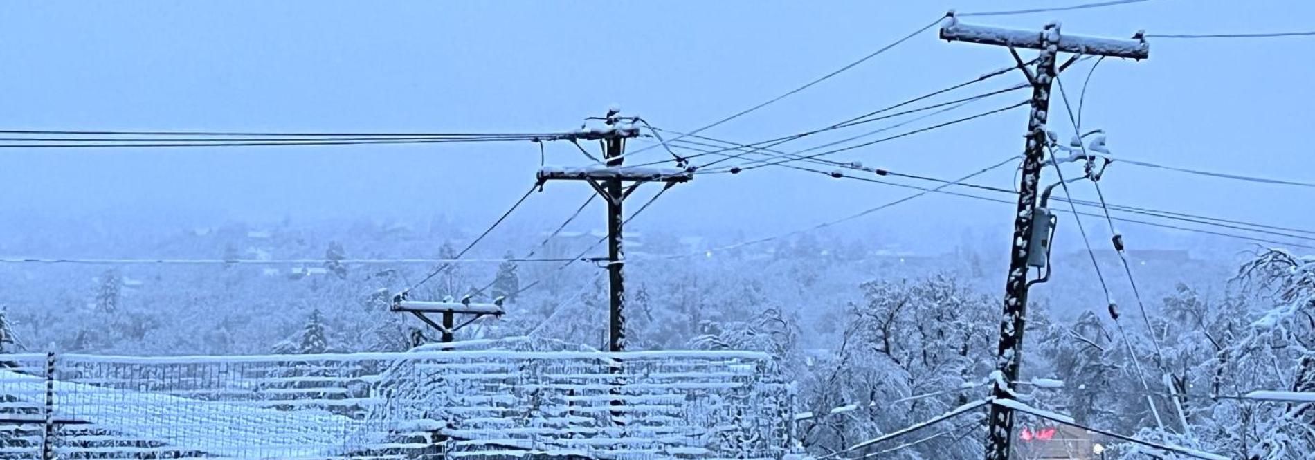 LPEA expects to see widespread outages due to weather today