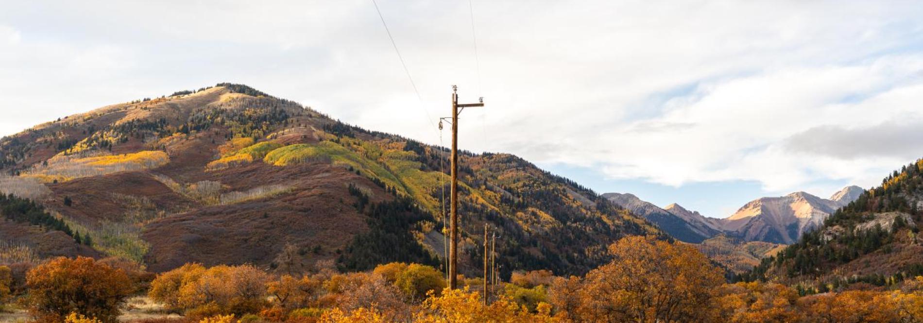 Powerpoles with fall colors in the mountains