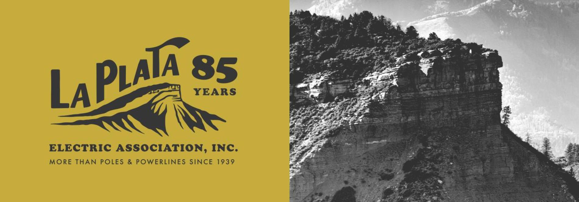 LPEA 85th Anniversary Logo