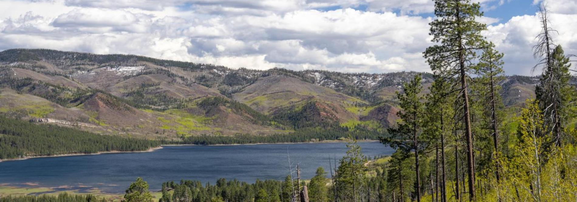 Vallecito Reservoir