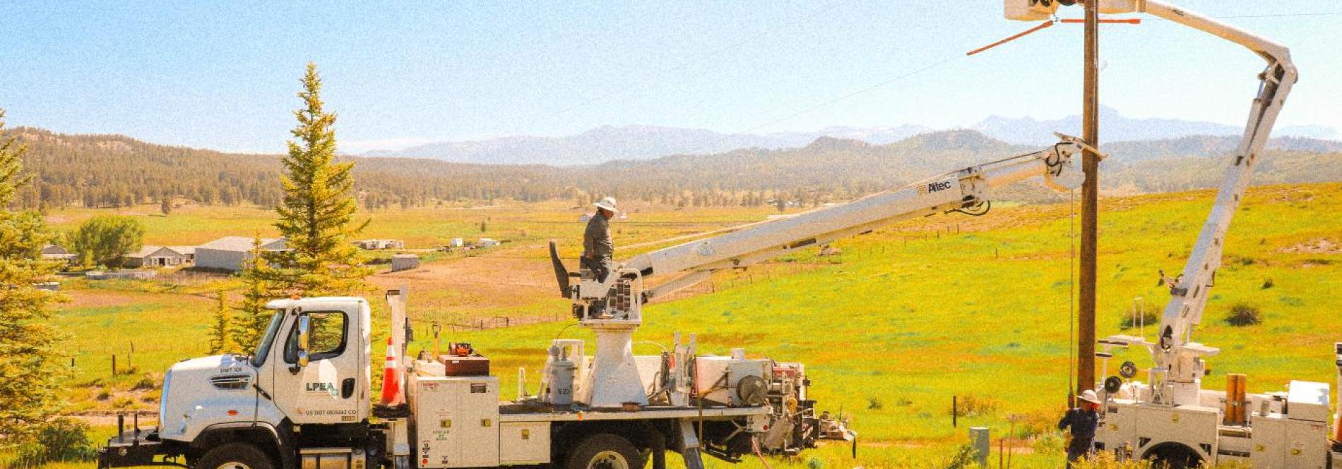 LPEA lineworkers working in bucket trucks