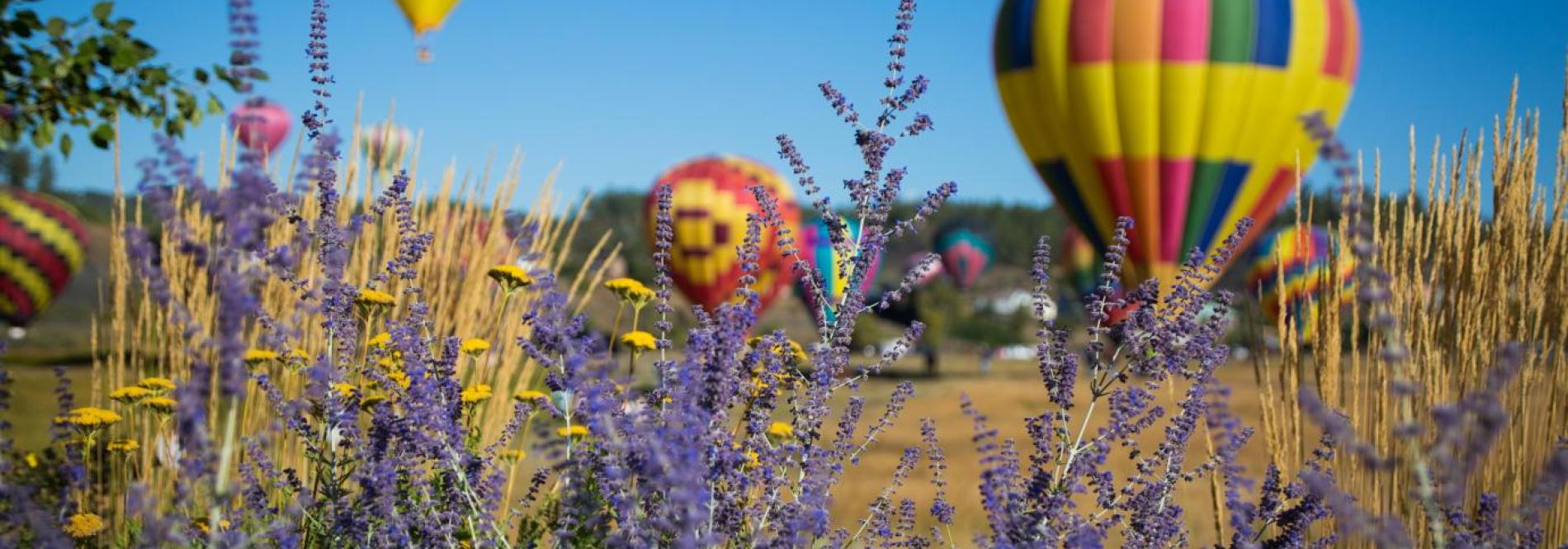 Pagosa Springs Hot Air Balloons 