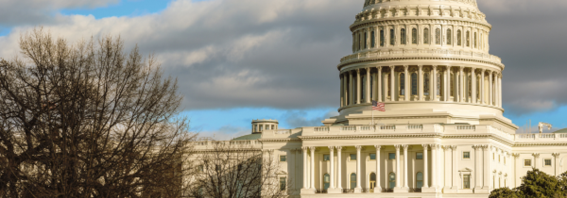 Capital Building in Washington, D.C. 